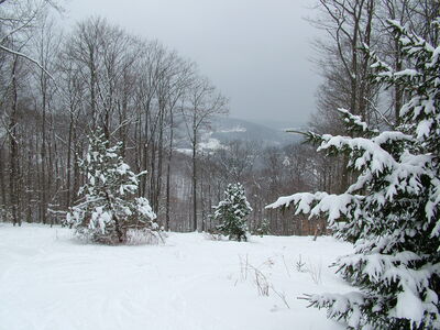 DSCF10809.JPG