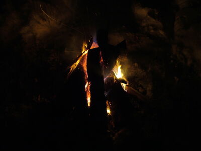 DSCF10823.JPG