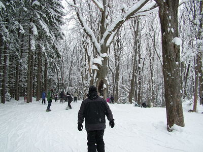 DSCF10835.JPG
