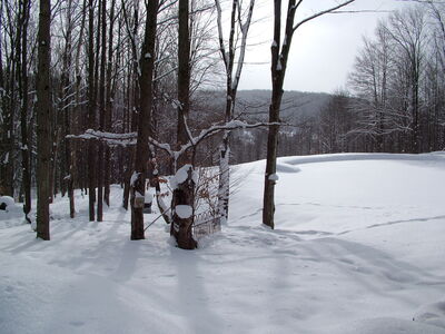 DSCF10859.JPG