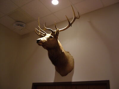 DSCF10872.JPG