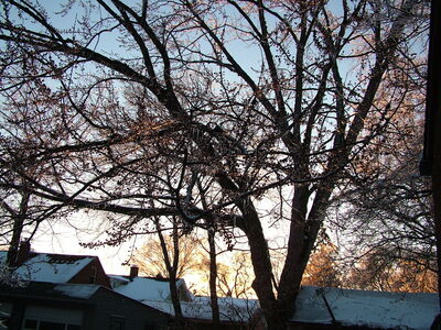 DSCF10885.JPG