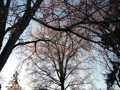 DSCF10886.JPG
