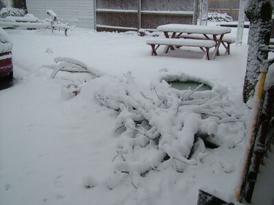 DSCF10934.JPG