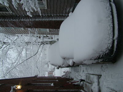 DSCF10935.JPG