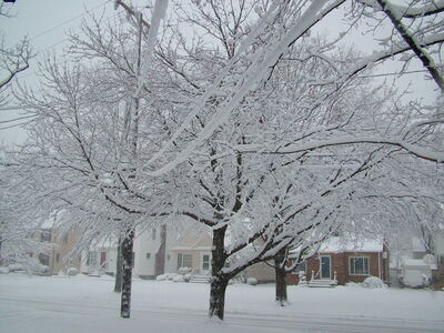 DSCF10936.JPG