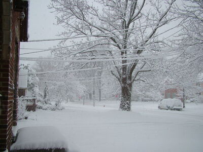 DSCF10937.JPG