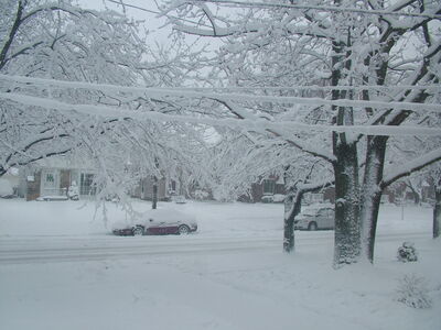 DSCF10938.JPG