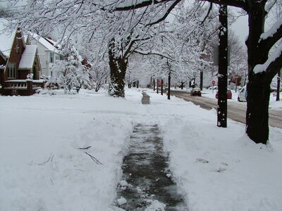 DSCF10940.JPG
