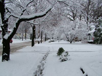 DSCF10941.JPG