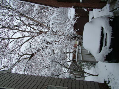 DSCF10943.JPG