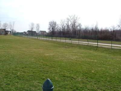 DSCF10983.JPG