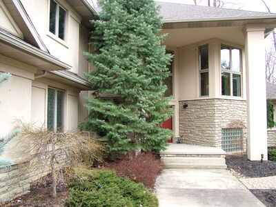 DSCF11088.JPG