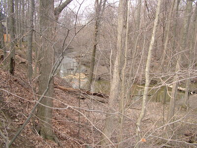 DSCF11101.JPG