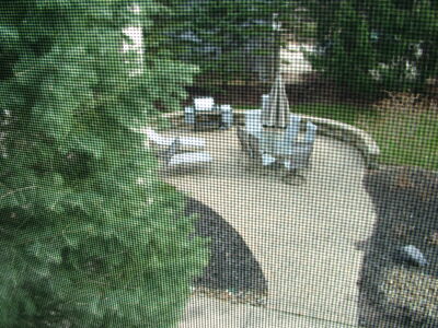 DSCF11119.JPG