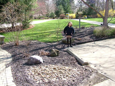 DSCF11154.JPG