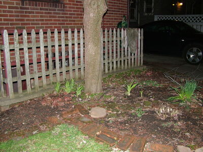 DSCF11157.JPG