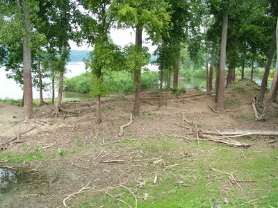 DSCF11360.JPG