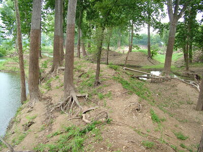 DSCF11362.JPG