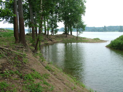 DSCF11364.JPG
