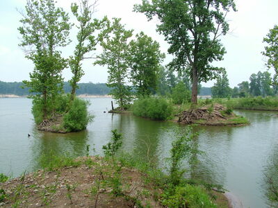 DSCF11365.JPG
