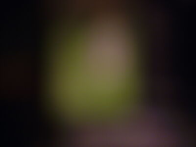 DSCF11366.JPG