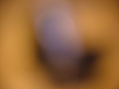 DSCF11367.JPG
