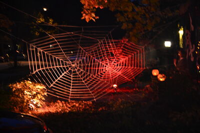 DSC_0039.JPG