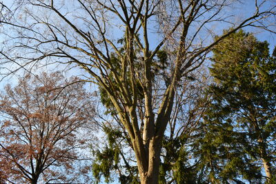 DSC_0060.JPG