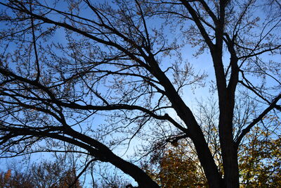 DSC_0061.JPG
