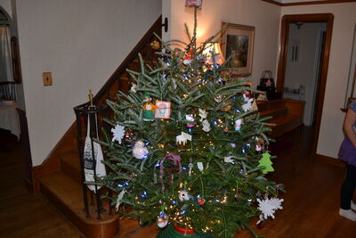 DSC_0004.JPG