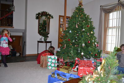 DSC_0034.JPG