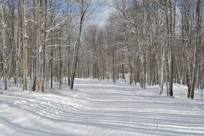 DSC_0053.JPG