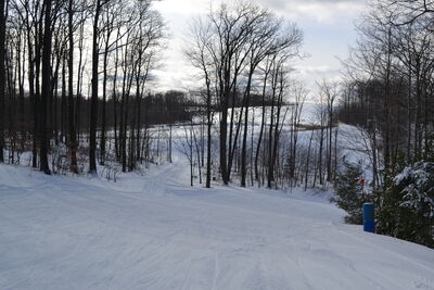 DSC_0059.JPG