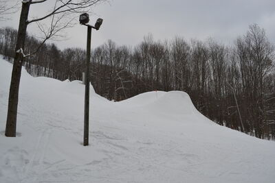 DSC_0097.JPG