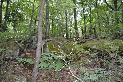 DSC_0147.JPG