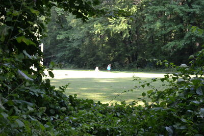 DSC_0154.JPG