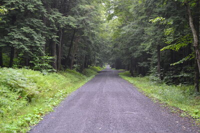 DSC_0167.JPG