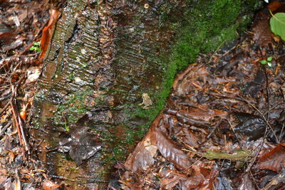 DSC_0171.JPG
