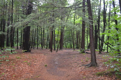 DSC_0173.JPG