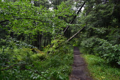 DSC_0178.JPG