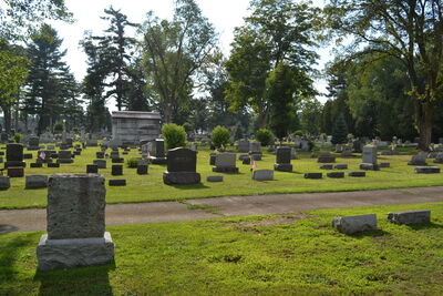 DSC_0203.JPG