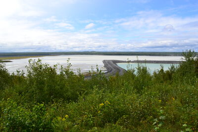 DSC_0110.JPG