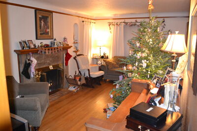 DSC_0494.JPG