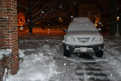 DSC_0508.JPG