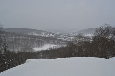 DSC_0067.JPG