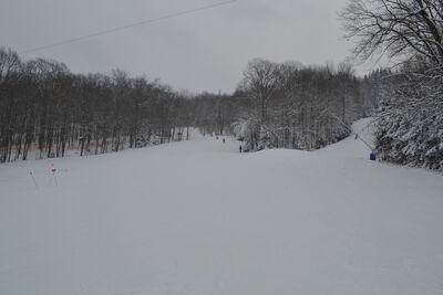 DSC_0073.JPG