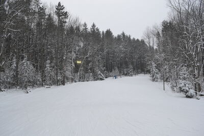 DSC_0079.JPG