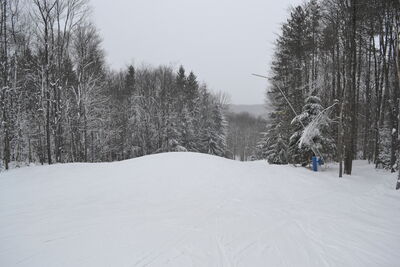DSC_0080.JPG