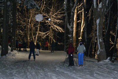 DSC_0085.JPG